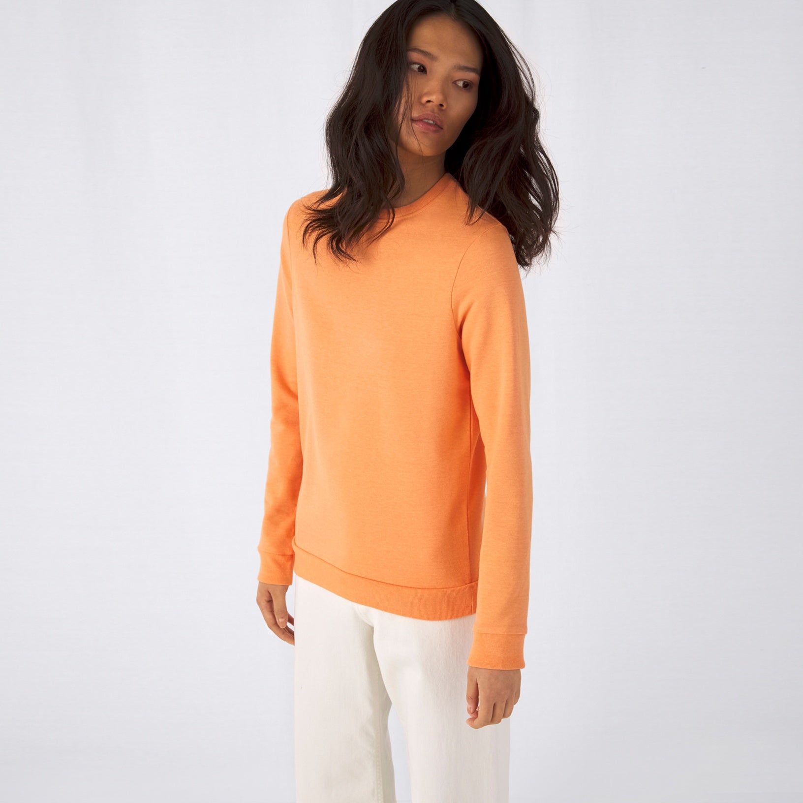 SET IN Sweatshirt Dam