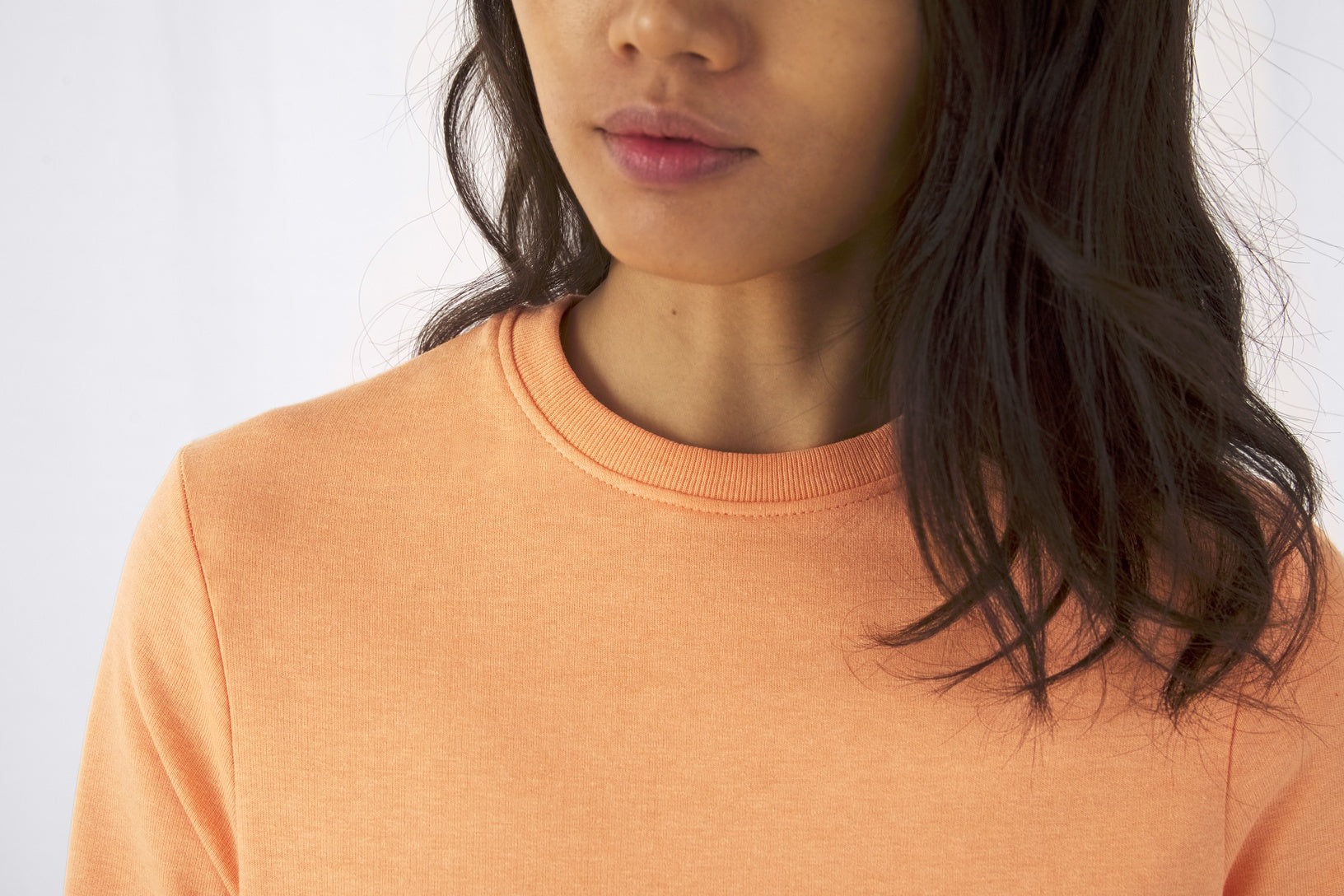 SET IN Sweatshirt Dam