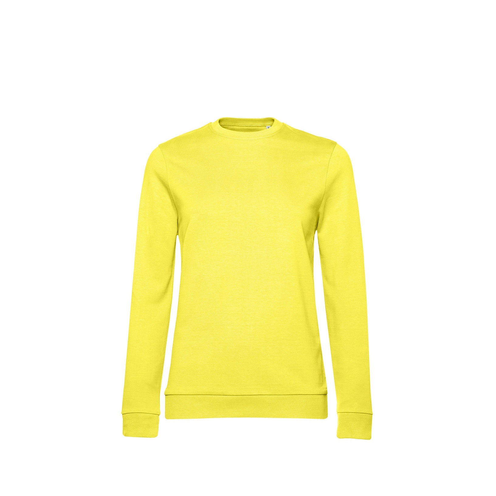 SET IN Sweatshirt Dam